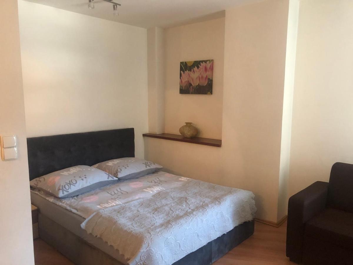 Apartament Studio 扎科帕内 外观 照片
