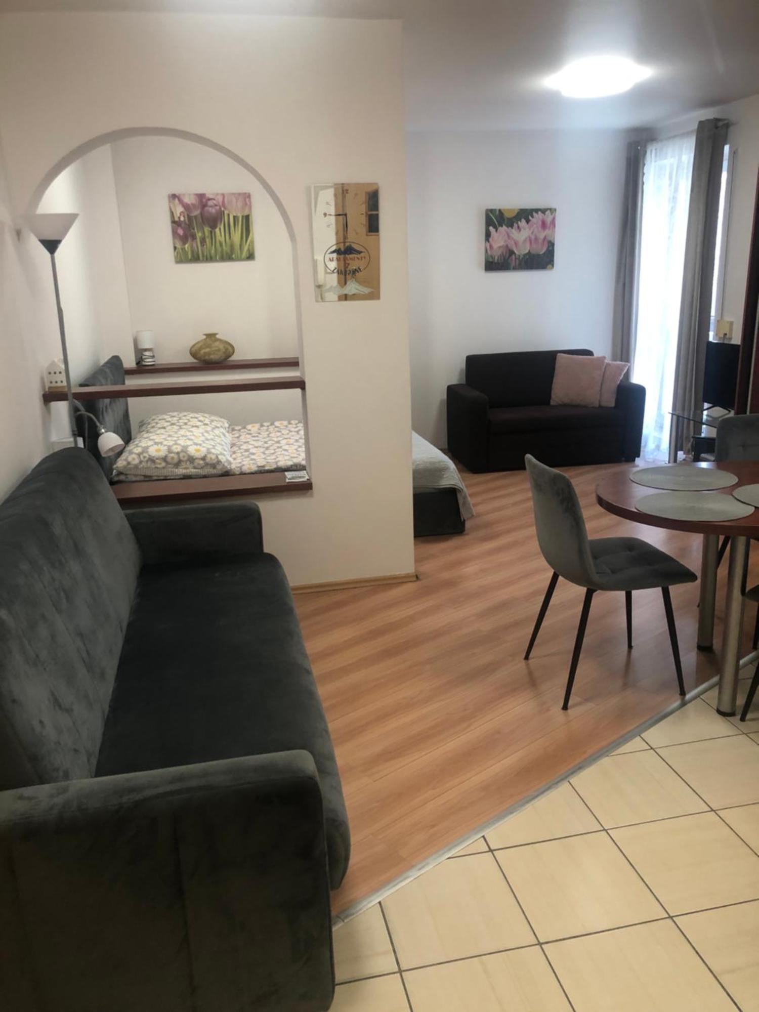 Apartament Studio 扎科帕内 外观 照片