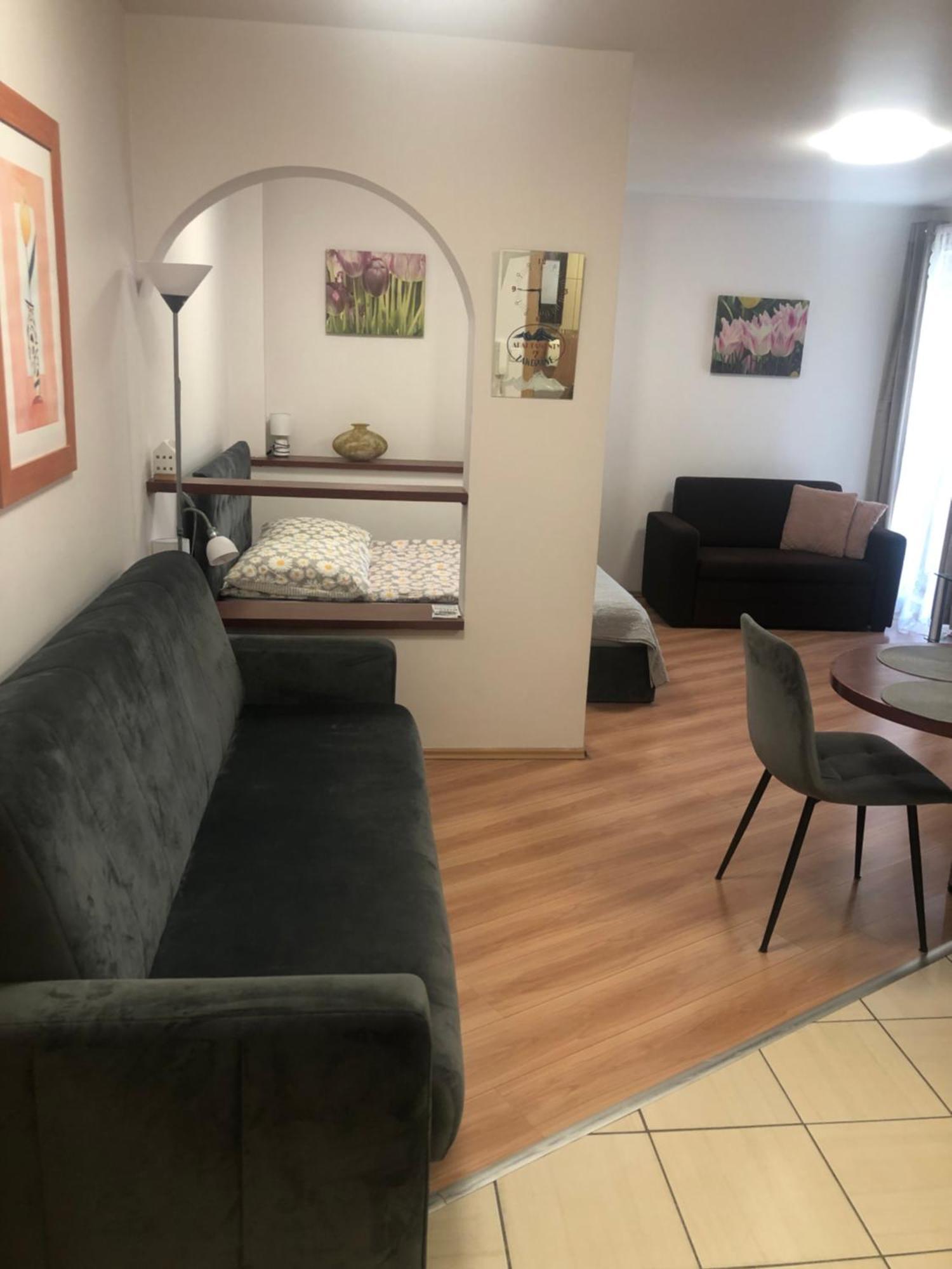Apartament Studio 扎科帕内 外观 照片